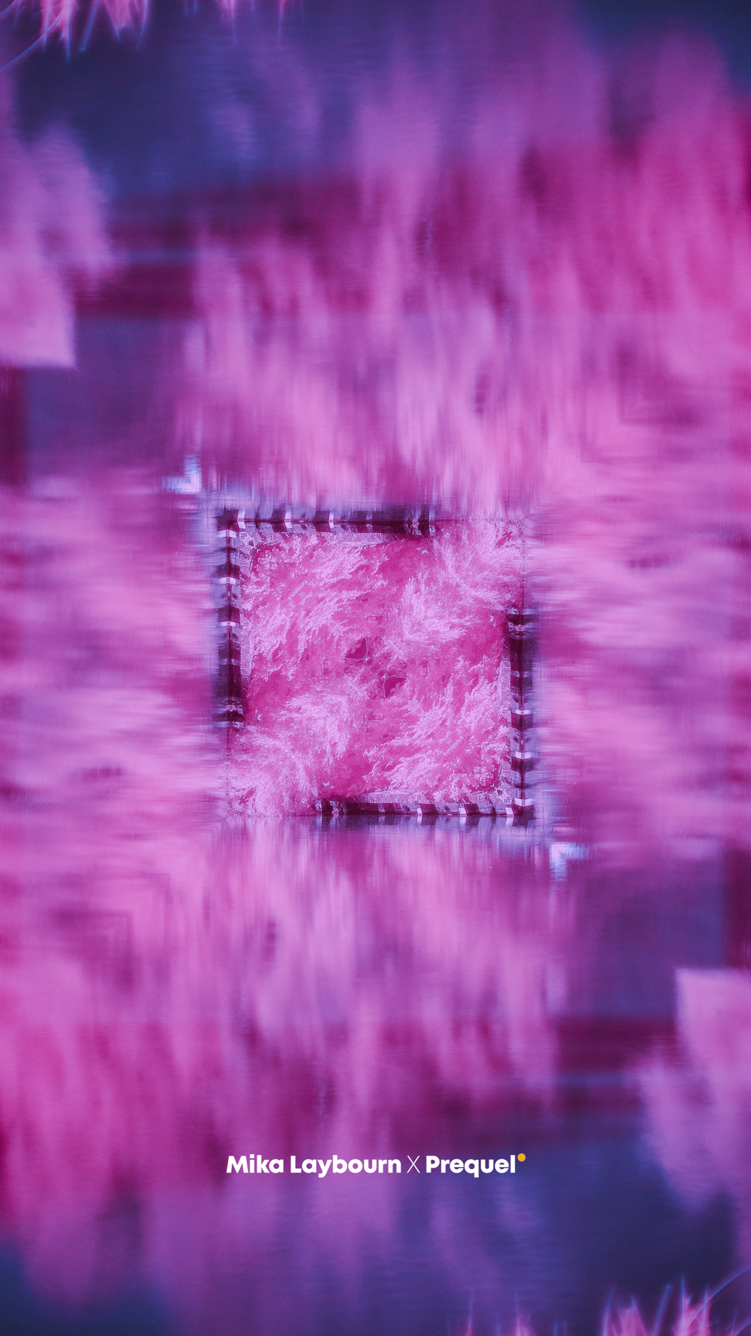 Pink Transformational Forest wallpaper